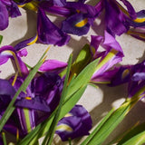 Full Iris Eau De Parfum