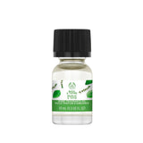 Basil & Thyme Home Fragrance Oil