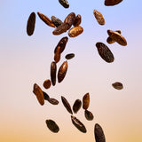 Tender Tonka Body Cream