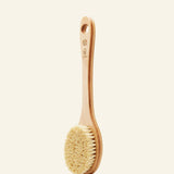 Cactus Long Handle Brush