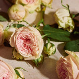 Full Rose Eau De Parfum