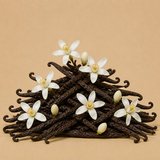 Vanilla